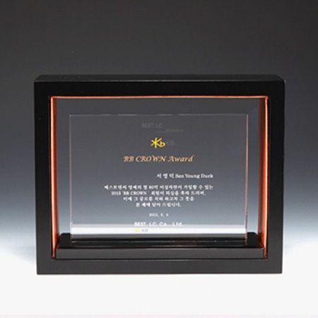 크리스탈 퇴직 퇴임패 공로 위촉패 E1002 (B) #2