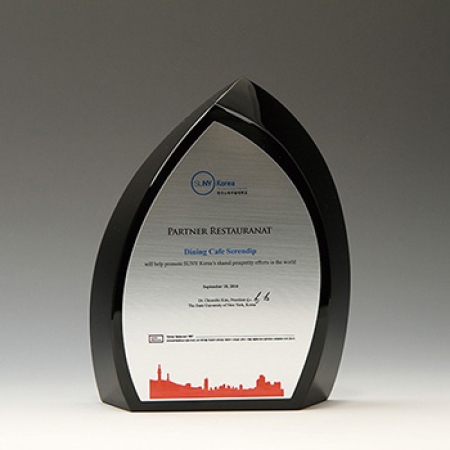 크리스탈 위촉패 공로패 퇴임감사패 E1218 #2