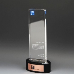 위촉패 퇴직 상패 크리스탈 감사패 근속 공로패 재직기념패 E1191