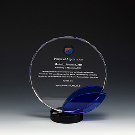 크리스탈상패 퇴직 감사패 근속패 공로패 퇴임 기념패 제작 E1029 #2