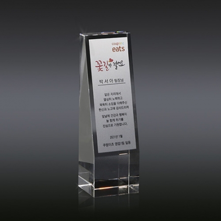 공무원 감사패 송공패 재직 기념패 크리스탈 상패 art 362 #2