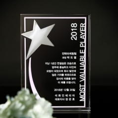 재직 정년퇴임 연말 시상 공로 회사 감사패 art 363