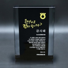 감사패 직원 퇴직 승진 근속 재직 크리스탈 art 311