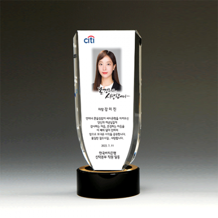 정년 퇴임패 송공패 감사패 장기 근속패 사진 감사패 ph 1214 #2