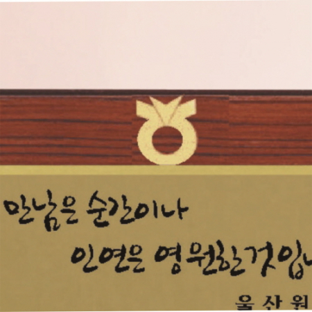 신형 가리비 25 #4