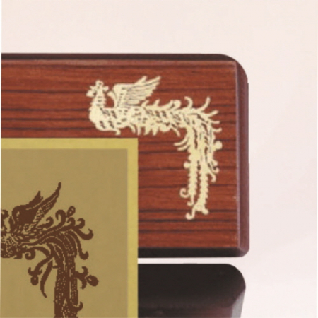 신형 가리비 25 #5