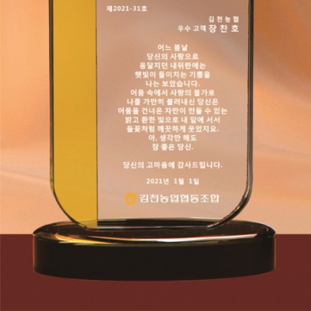 오렌지 투톤 크리스탈 상패 378 #4