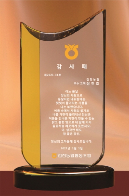 오렌지 투톤 크리스탈 상패 378 #2