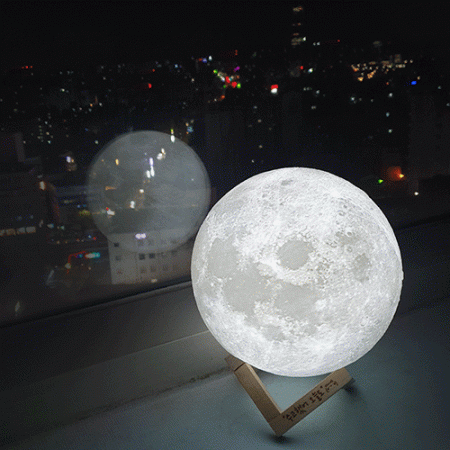 집자랑 달무드등 모음전 #5