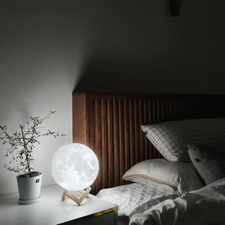 집자랑 달무드등 모음전 #3