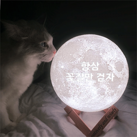 집자랑 달무드등 모음전 주문제작 #3