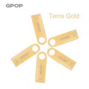 테라골드 메탈 USB 메모리 8G