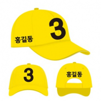 정의당 선거모자