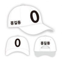 무소속 / 기타정당 선거모자