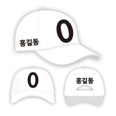 무소속 / 기타정당 선거모자