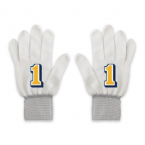 민주당 선거 장갑-1