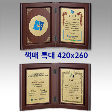 감사패 공로패 책패 [NA019-020 특대] #2