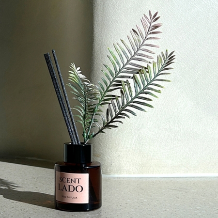 센트라도 디퓨저 리틀포레스트 50ml #4