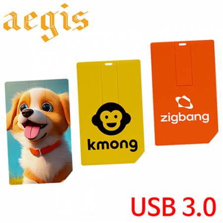 이지스 카드형 USB 3.0 메모리 16GB #2