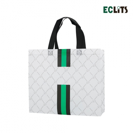 패턴 코팅 부직포 가방 [ 소 / 31 x 28 x 11cm ] #2