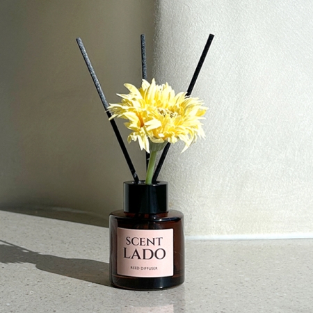 센트라도 디퓨저 미니거베라 50ml #4