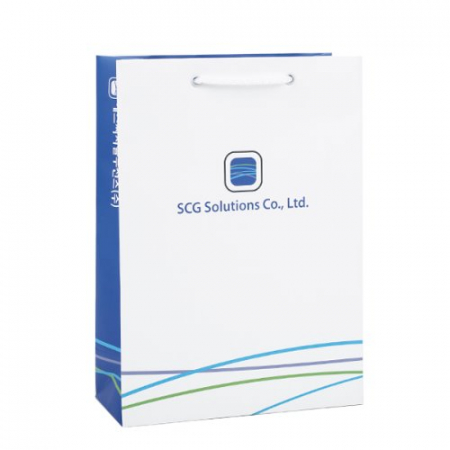 제작쇼핑백 300x120x400mm 스노우지180g #2