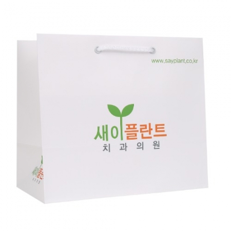 제작쇼핑백 280x100x250mm 스노우지180g #2