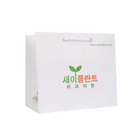 제작쇼핑백 295x150x265mm 스노우지180g #2