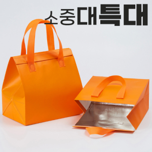 부직포 보온 보냉백 [소/중/대/특대]