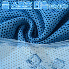 아누타 쿨 스포츠 타올/스포츠타올/대형 국내산