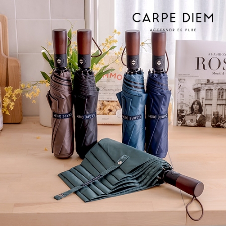 카르페디엠 3HHC056 3단 자동우산 #2