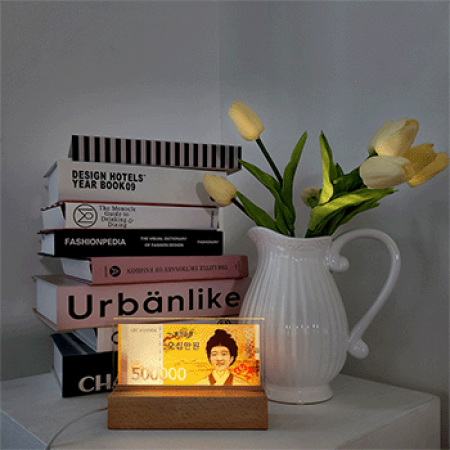 집자랑 지폐무드등 이색 용돈박스 #7