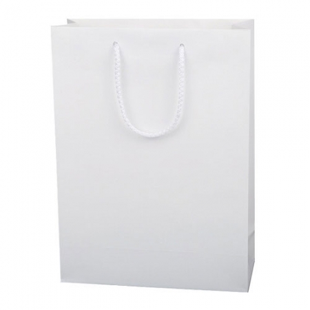 아베오 종이쇼핑백 T3호 25x10x34 #3