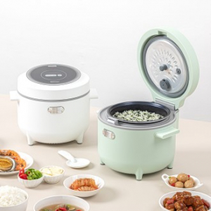 라이녹스 컴팩트 라이스쿠커, 컴팩트 전기 밥솥