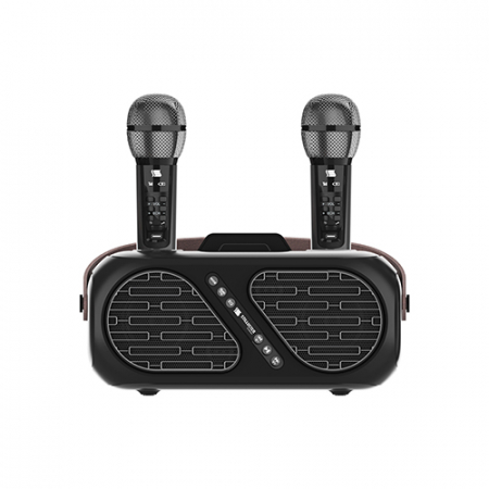 슈틸루스터 ST-DM100 무선 듀얼 노래방 마이크 #4