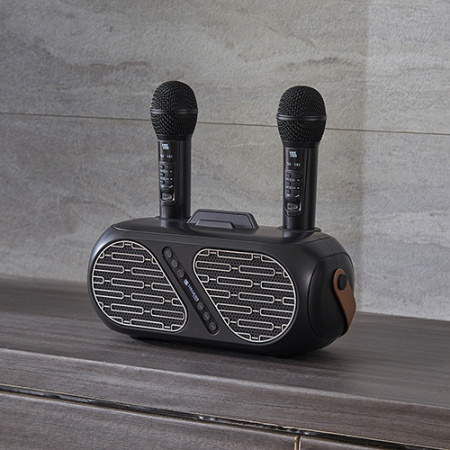 슈틸루스터 ST-DM100 무선 듀얼 노래방 마이크 #3