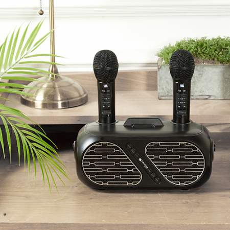 슈틸루스터 ST-DM100 무선 듀얼 노래방 마이크 #2