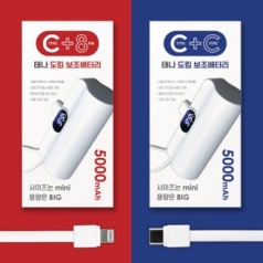 태나 디스플레이 듀얼 도킹 보조배터리