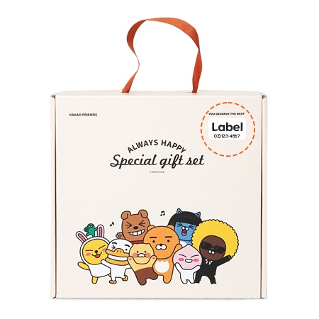 카카오프렌즈 채움 선물세트5 라이언 #3