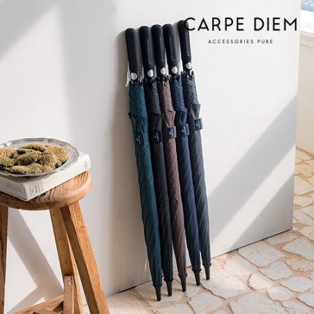 카르페디엠 3HHC058 골프우산 #2