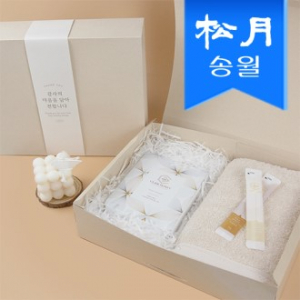 프리미엄 꿀 수건 답례품A (160g 코마 40수 타올 1 + 꿀스틱 10포) 선물세트 단체선물 기념선물