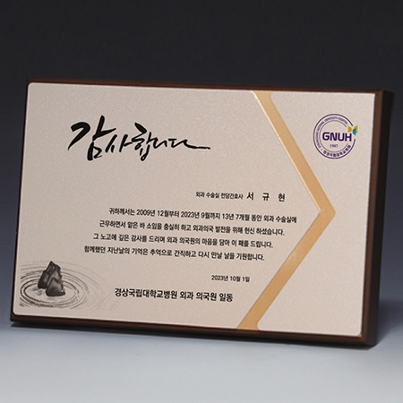 액자 인물화 알루미늄 상패 트로피 S8A013-12 #2