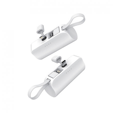 비즈 P10C 듀얼 미니 보조배터리, C타입, A 8핀, W C+C #2