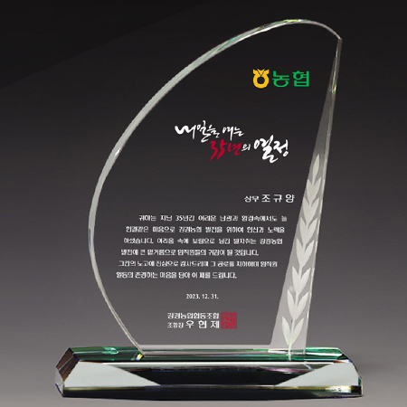 크리스탈 상패 기념패 S8A073-1 #2
