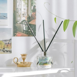 디스이즈 명화 디퓨저 120ml