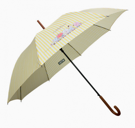 BT21 어드벤쳐 장우산 #2