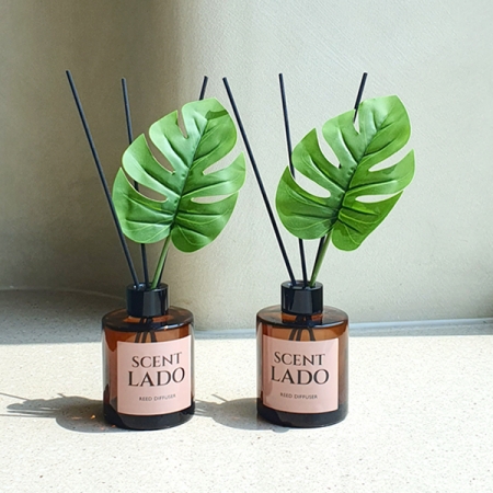 센트라도 디퓨저 몬스테라 150ml 2P 세트 #3