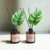 작은이미지: 센트라도 디퓨저 몬스테라 150ml 2P 세트 #3