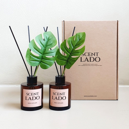 센트라도 디퓨저 몬스테라 150ml 2P 세트 #2