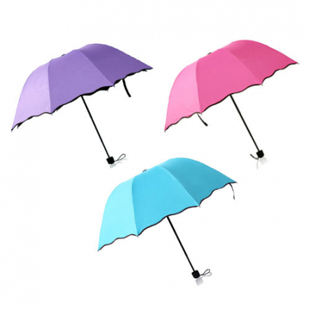 비비드 우산 2 UV // 양산 겸용 #2